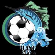 都柏林FC